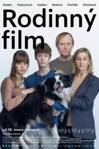 Семейный фильм