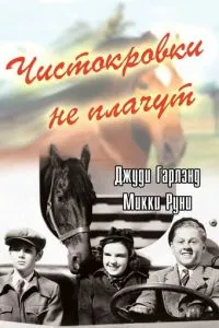 Чистокровки не плачут
