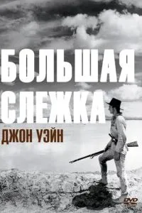 Большая слежка