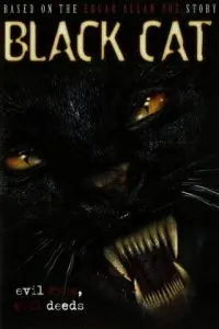 Черная кошка