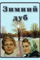 Зимний дуб
