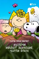 Снупи представляет: мелочи имеют значение, Чарли Браун