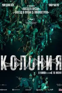 Колония