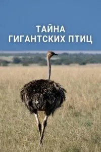 Тайна гигантских птиц