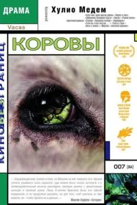 Коровы