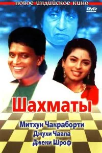 Шахматы