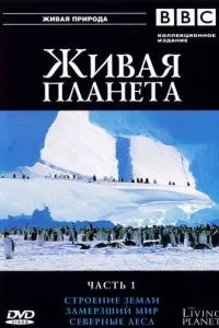 BBC: Живая планета