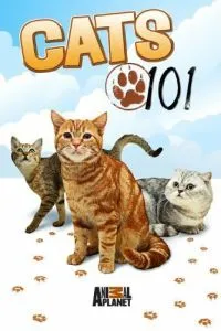 Энциклопедия кошек