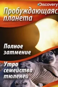 Пробуждающаяся планета