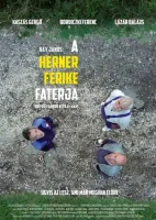 Папа Ферике Гернера